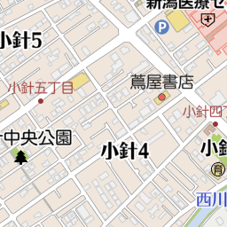 通販 激安 新潟県新潟市西区小針6丁目2の地図(37.88572656547858 地図・旅行ガイド
