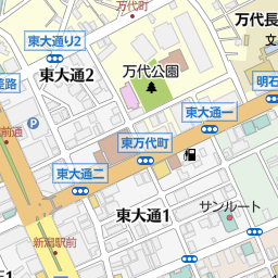 新潟駅 新潟市中央区 駅 の地図 地図マピオン