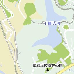 森林公園中央口 比企郡滑川町 バス停 の地図 地図マピオン