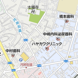青山フラワーマーケットエキア川越店 川越市 花屋 植木屋 の地図 地図マピオン