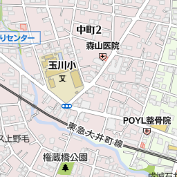 セブンイレブン世田谷等々力７丁目店 世田谷区 コンビニ の地図 地図マピオン